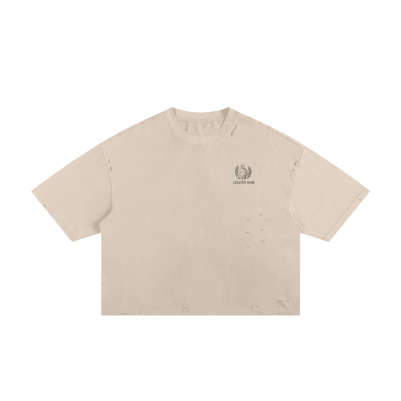 Céleste Noir Frayed T Shirt