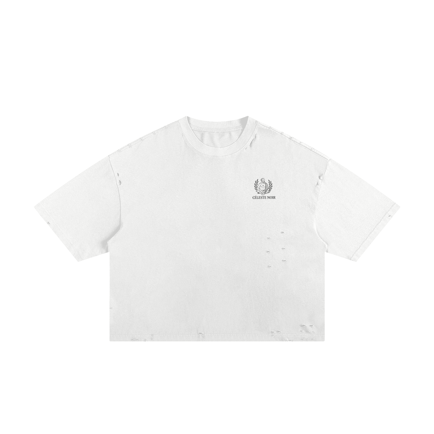 Céleste Noir Frayed T Shirt